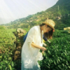 云南网友30162