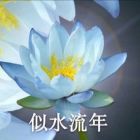 QQ头像