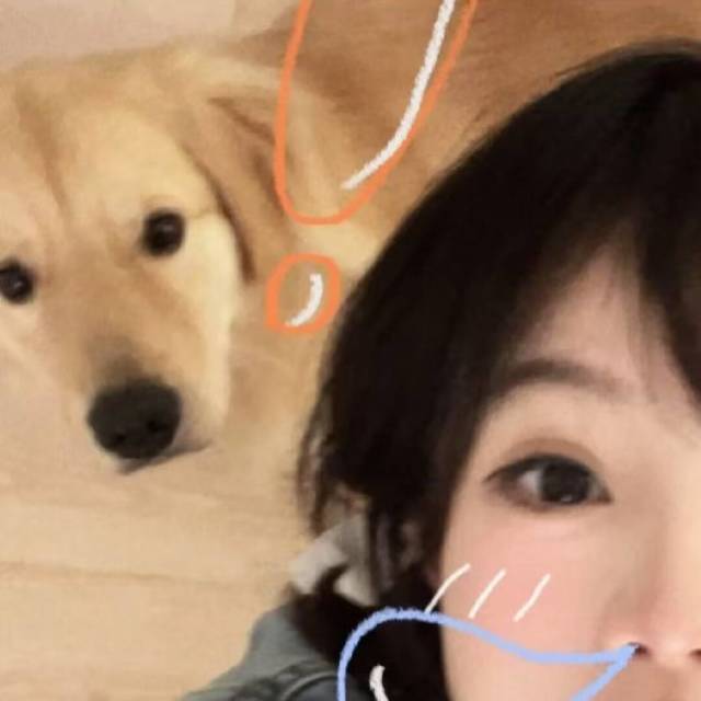 QQ Email Avatar