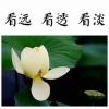 浙江网友53267