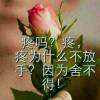 辽宁网友26626