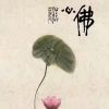 陕西网友49423