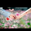 河南网友65236