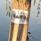 QQ头像
