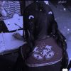 福建网友87671