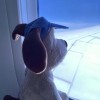 山西网友13360