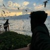 北京网友48348