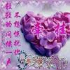 西藏网友41260