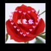 宁夏网友36943