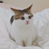 内蒙古网友55921
