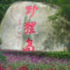 内蒙古网友91371