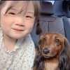 湖北网友15013