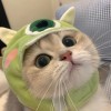 QQ104543头像