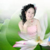 山东网友39830