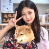 四川网友68445