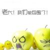 重庆网友35653