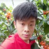 台湾网友78074