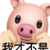 海南网友18656