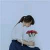 台湾网友12529