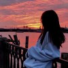北京网友61581
