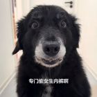 QQ头像