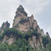 广东网友88024