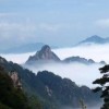 甘肃网友20847
