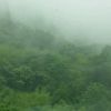宁夏网友17142