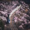 评论头像