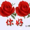 广东网友51378