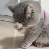 西藏网友21298