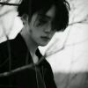 西藏网友36940