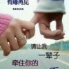 台湾网友14606
