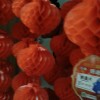天津网友33642