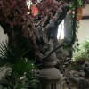 宁夏网友17346