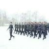 河北网友75223