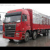 山东网友85004