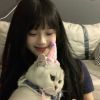 台湾网友60443