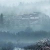 河南网友77456