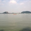 甘肃网友11561