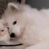 ccb123的头像-无忧免费游戏网