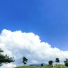 宁夏网友30782