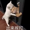 湖南网友73915