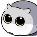 QQ头像