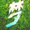 宁夏网友74875