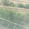 广西网友31245
