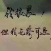吉林网友45663