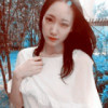 河南网友20523