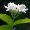 青海网友63462