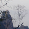 内蒙古网友26216